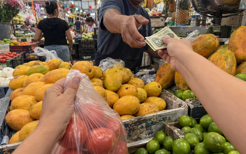 Hand paying cash at a fruit stall in a local market while holding a bag of tomatoes